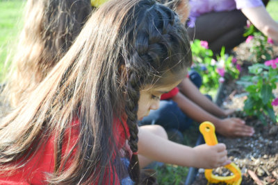 children busy planting